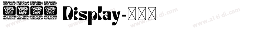 1769 Display字体转换